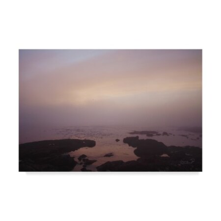 Trademark Fine Art Laura Marshall 'Crescent Bay I' Canvas Art, 22x32 WAP07814-C2232GG